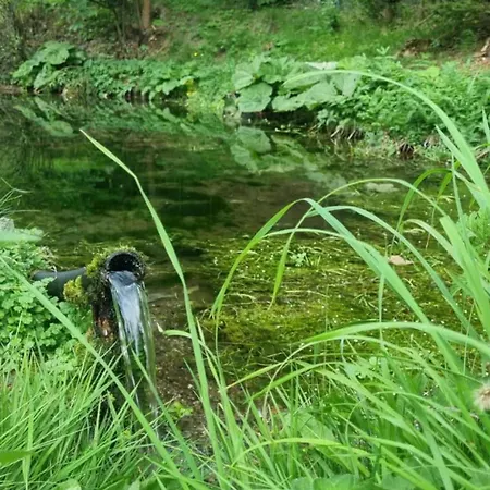 Pri Jazierku - By The Little