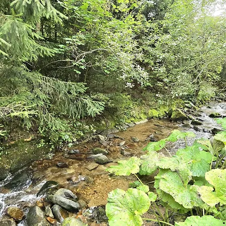 Pri Jazierku - By The Little