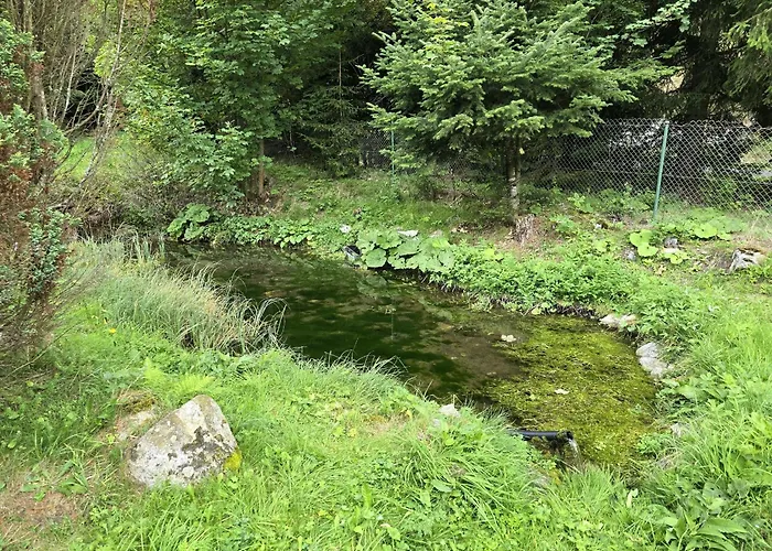 Pri Jazierku - By The Little *