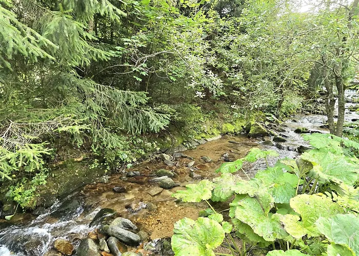 Pri Jazierku - By The Little